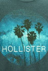 Hollister Co.（ホリスター）の古着「商品番号：PR10298442」-4