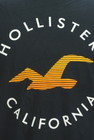 Hollister Co.（ホリスター）の古着「商品番号：PR10298443」-4