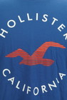 Hollister Co.（ホリスター）の古着「商品番号：PR10298444」-4