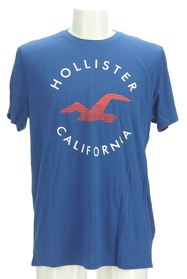 Hollister Co.（ホリスター）の古着「グラデーションマークTシャツ（Ｔシャツ）」大画像１へ