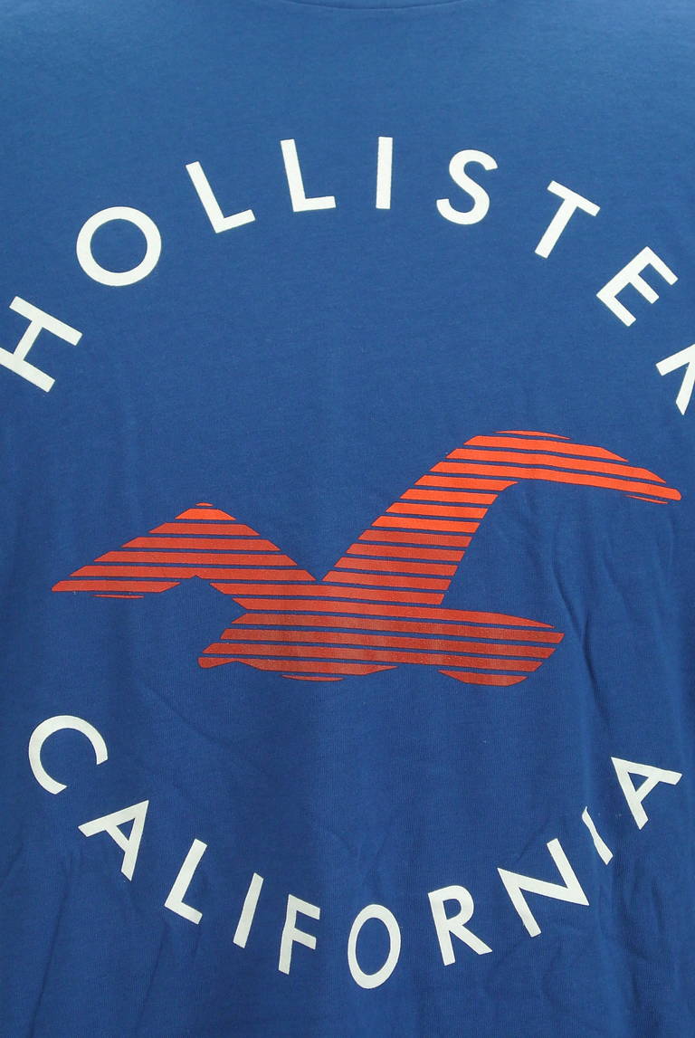 Hollister Co.（ホリスター）の古着「商品番号：PR10298444」-大画像4