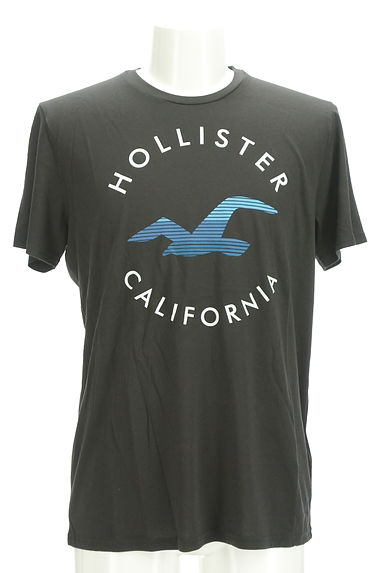 Hollister Co.（ホリスター）の古着「ブランドマークTシャツ（Ｔシャツ）」大画像１へ