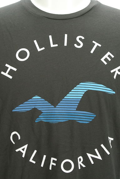 Hollister Co.（ホリスター）の古着「ブランドマークTシャツ（Ｔシャツ）」大画像４へ