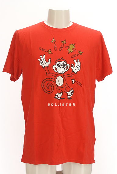Hollister Co.（ホリスター）の古着「サルプリントTシャツ（Ｔシャツ）」大画像１へ