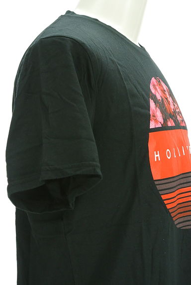 Hollister Co.（ホリスター）の古着「ハイビスカスプリントTシャツ（Ｔシャツ）」大画像５へ