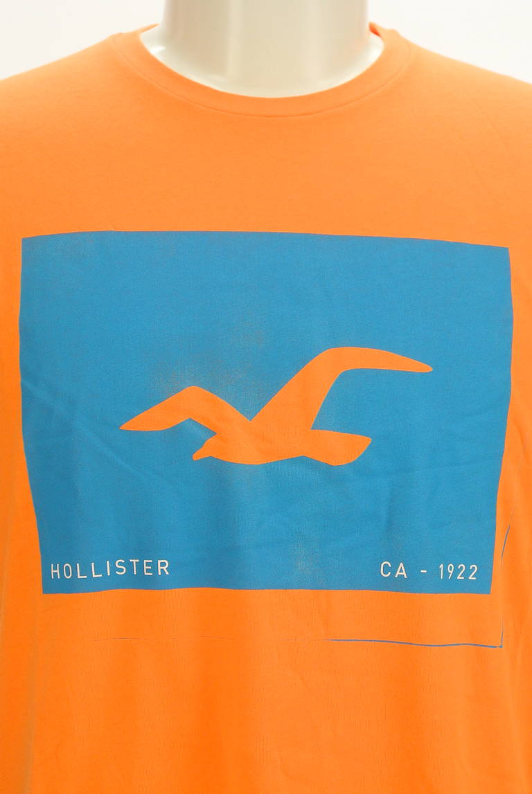 Hollister Co.（ホリスター）の古着「商品番号：PR10298481」-大画像4