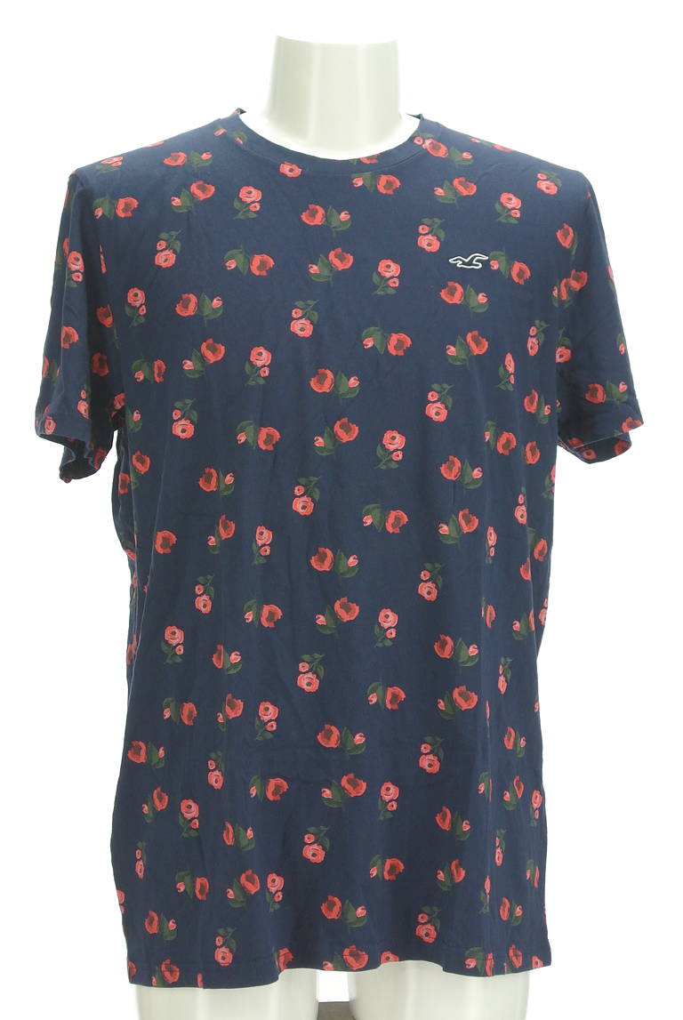 Hollister Co.（ホリスター）の古着「商品番号：PR10298487」-大画像1