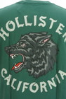 Hollister Co.（ホリスター）の古着「商品番号：PR10298491」-5