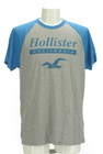 Hollister Co.（ホリスター）の古着「商品番号：PR10298492」-1