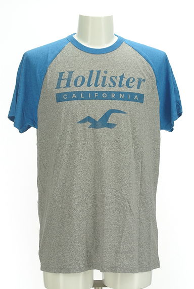 Hollister Co.（ホリスター）の古着「ロゴ入りラグランTシャツ（Ｔシャツ）」大画像１へ