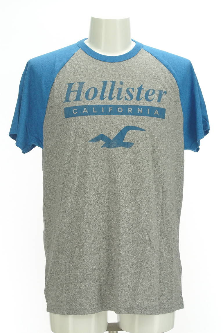 Hollister Co.（ホリスター）の古着「商品番号：PR10298492」-大画像1