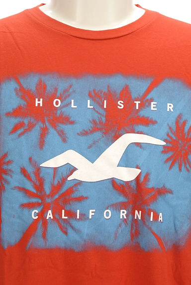 Hollister Co.（ホリスター）の古着「ヤシの木×ロゴプリントTシャツ（Ｔシャツ）」大画像４へ