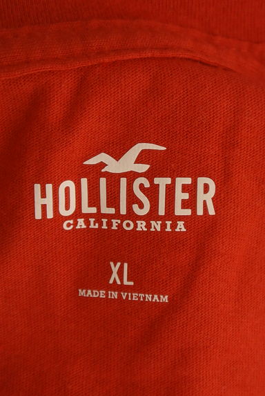Hollister Co.（ホリスター）の古着「ヤシの木×ロゴプリントTシャツ（Ｔシャツ）」大画像６へ