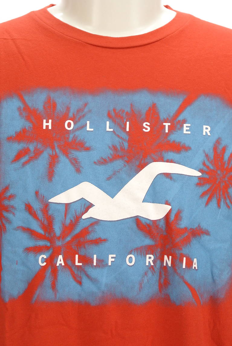 Hollister Co.（ホリスター）の古着「商品番号：PR10298496」-大画像4