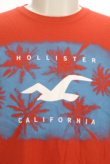 Hollister Co.（ホリスター）の古着「ヤシの木プリントTシャツ（Ｔシャツ）」大画像４へ