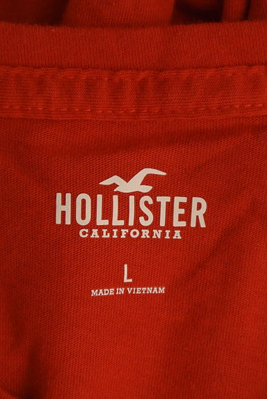 Hollister Co.（ホリスター）の古着「ヤシの木プリントTシャツ（Ｔシャツ）」大画像６へ