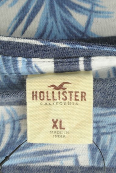 Hollister Co.（ホリスター）の古着「ボタニカル×ボーダーTシャツ（Ｔシャツ）」大画像６へ