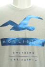Hollister Co.（ホリスター）の古着「商品番号：PR10298500」-4