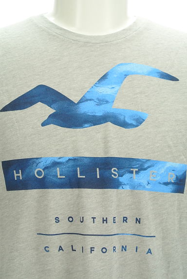 Hollister Co.（ホリスター）の古着「ブランドマークプリントTシャツ（Ｔシャツ）」大画像４へ
