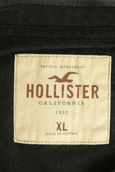 Hollister Co.（ホリスター）の古着「グラデーションロゴTシャツ（Ｔシャツ）」大画像６へ