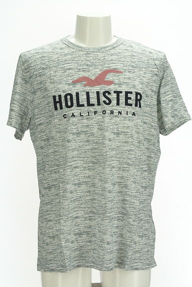 Hollister Co.（ホリスター）の古着「ブランドロゴTシャツ（Ｔシャツ）」大画像１へ