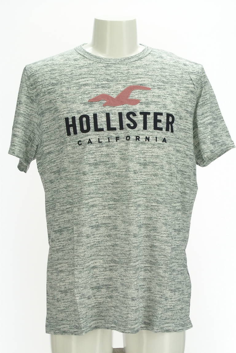 Hollister Co.（ホリスター）の古着「商品番号：PR10298504」-大画像1