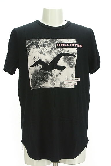 Hollister Co.（ホリスター）の古着「ブランドマークプリントTシャツ（Ｔシャツ）」大画像１へ