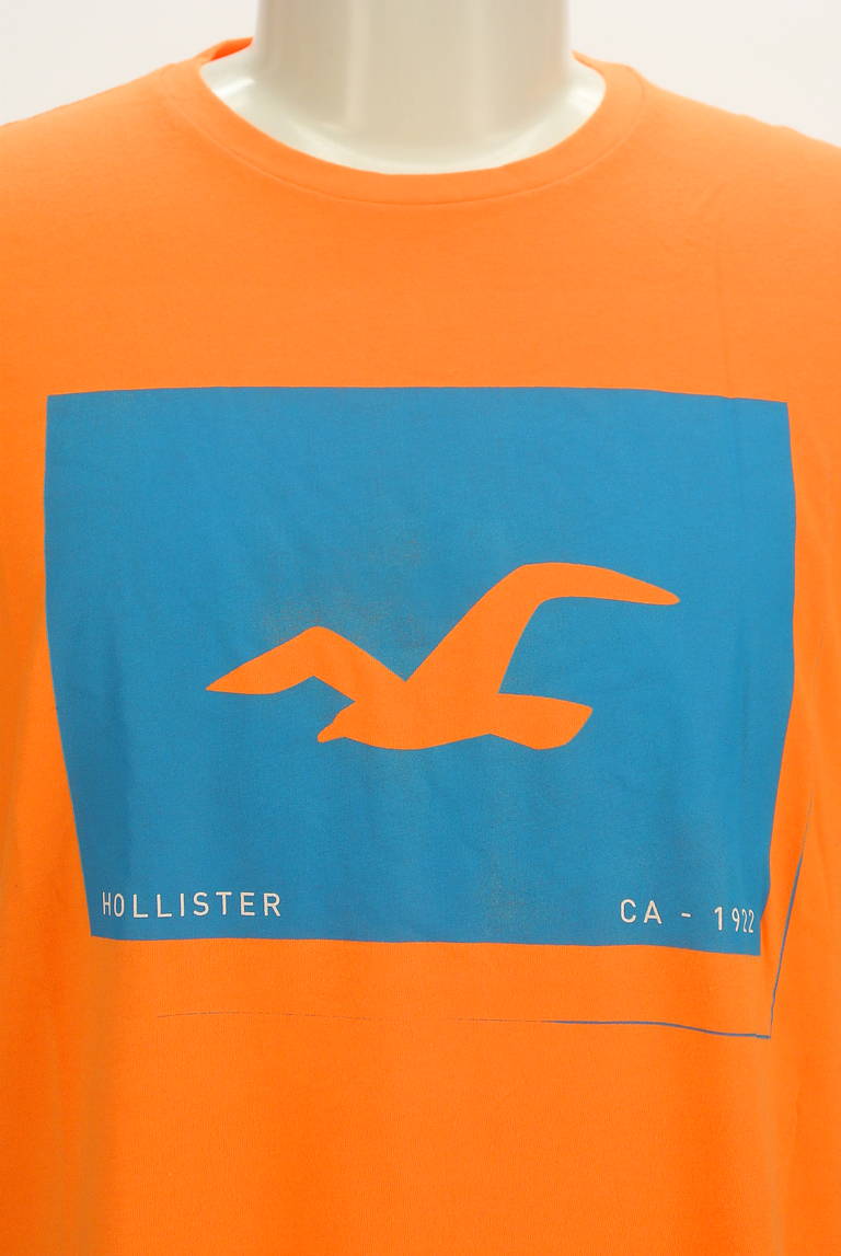 Hollister Co.（ホリスター）の古着「商品番号：PR10298509」-大画像4