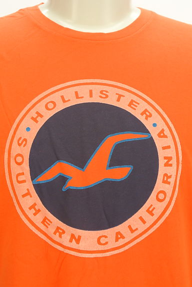 Hollister Co.（ホリスター）の古着「ロゴマークプリントTシャツ（Ｔシャツ）」大画像４へ
