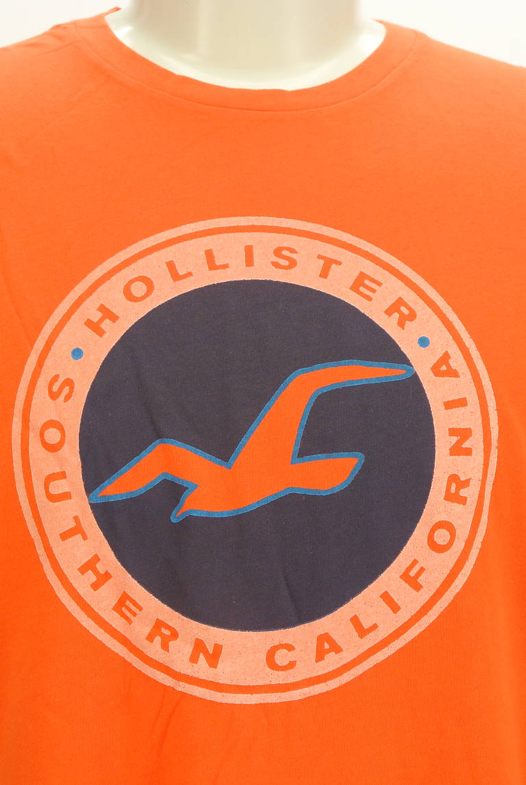 Hollister Co.（ホリスター）の古着「商品番号：PR10298515」-大画像4