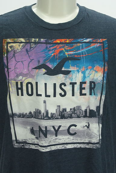 Hollister Co.（ホリスター）の古着「ニューヨークプリントTシャツ（Ｔシャツ）」大画像４へ