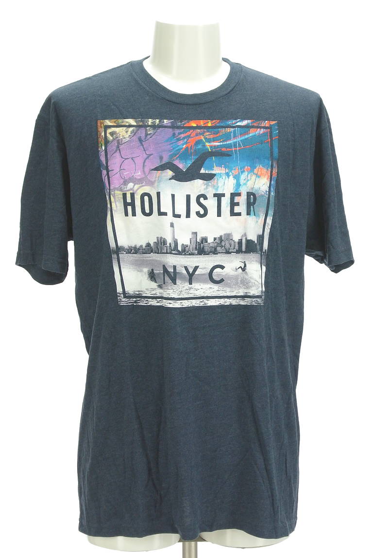 Hollister Co.（ホリスター）の古着「商品番号：PR10298518」-大画像1