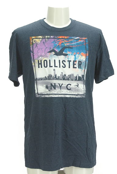 Hollister Co.（ホリスター）の古着「ニューヨークプリントTシャツ（Ｔシャツ）」大画像１へ