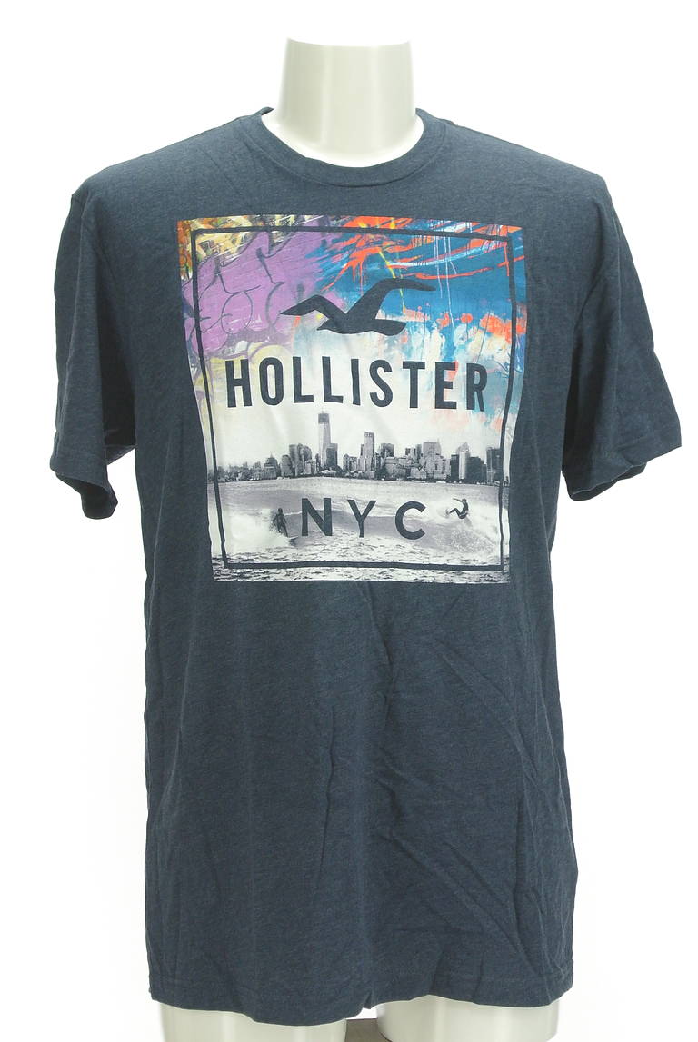 Hollister Co.（ホリスター）の古着「商品番号：PR10298519」-大画像1
