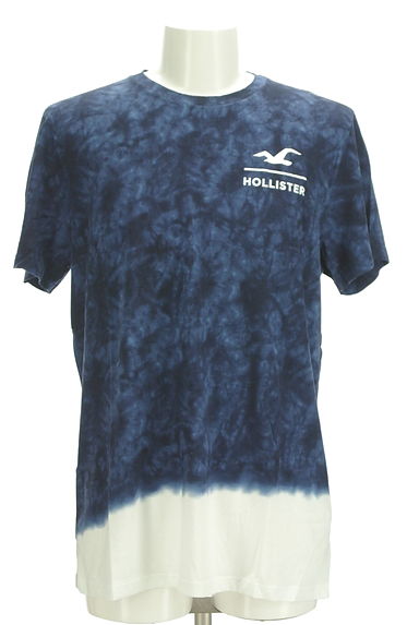 Hollister Co.（ホリスター）の古着「バックロゴタイダイTシャツ（Ｔシャツ）」大画像１へ
