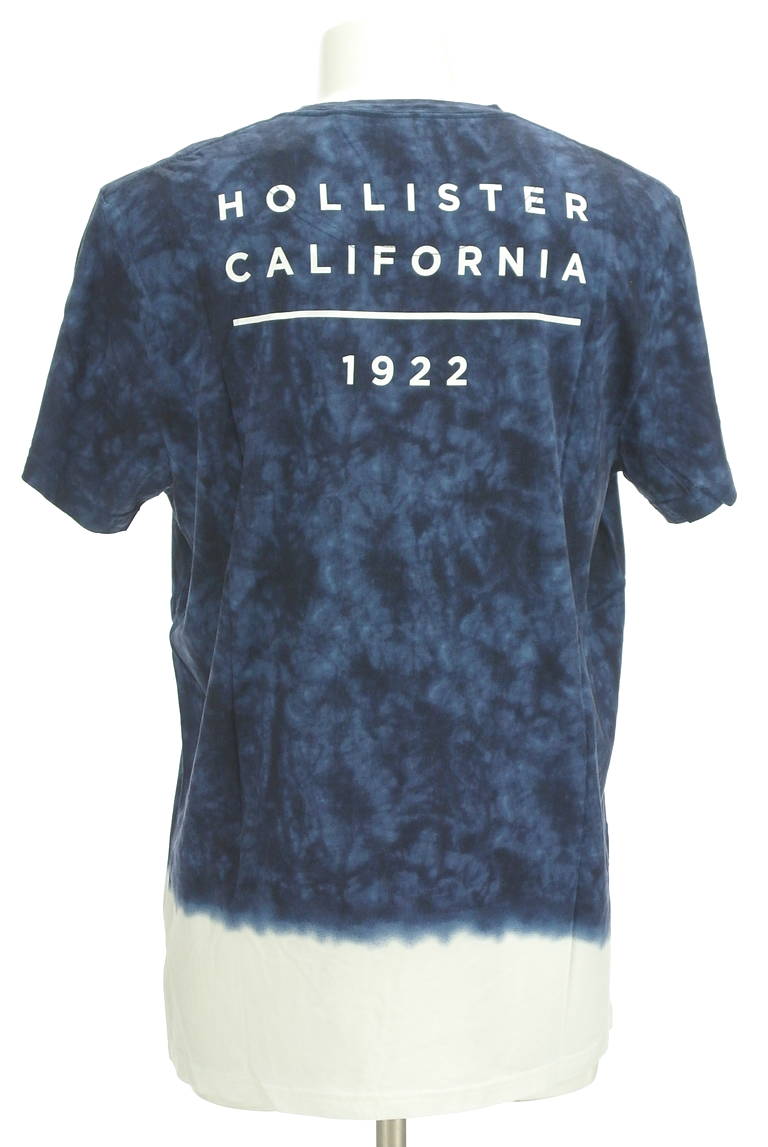 Hollister Co.（ホリスター）の古着「商品番号：PR10298522」-大画像2