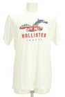 Hollister Co.（ホリスター）の古着「商品番号：PR10298523」-1