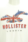 Hollister Co.（ホリスター）の古着「商品番号：PR10298524」-4