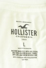 Hollister Co.（ホリスター）の古着「商品番号：PR10298524」-6