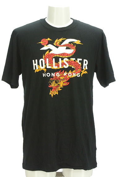 Hollister Co.（ホリスター）の古着「ドラゴン＆ロゴTシャツ（Ｔシャツ）」大画像１へ