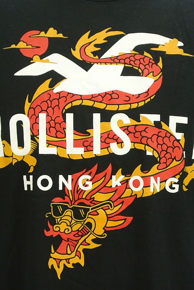 Hollister Co.（ホリスター）の古着「ドラゴン＆ロゴTシャツ（Ｔシャツ）」大画像４へ