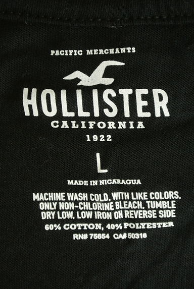 Hollister Co.（ホリスター）の古着「ドラゴン＆ロゴTシャツ（Ｔシャツ）」大画像６へ