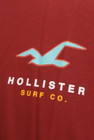 Hollister Co.（ホリスター）の古着「商品番号：PR10298535」-4