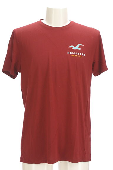Hollister Co.（ホリスター）の古着「バックプリントTシャツ（Ｔシャツ）」大画像１へ