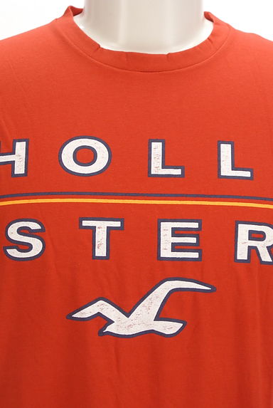 Hollister Co.（ホリスター）の古着「ブランドロゴプリントTシャツ（Ｔシャツ）」大画像４へ