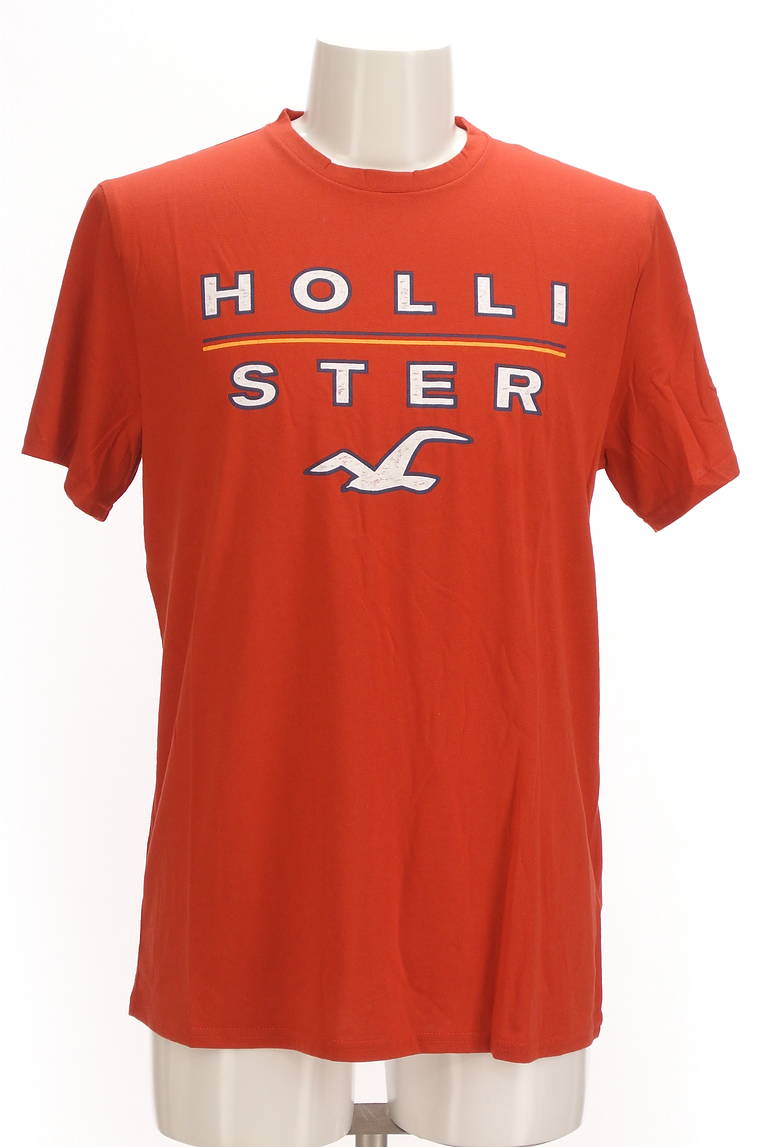 Hollister Co.（ホリスター）の古着「商品番号：PR10298538」-大画像1