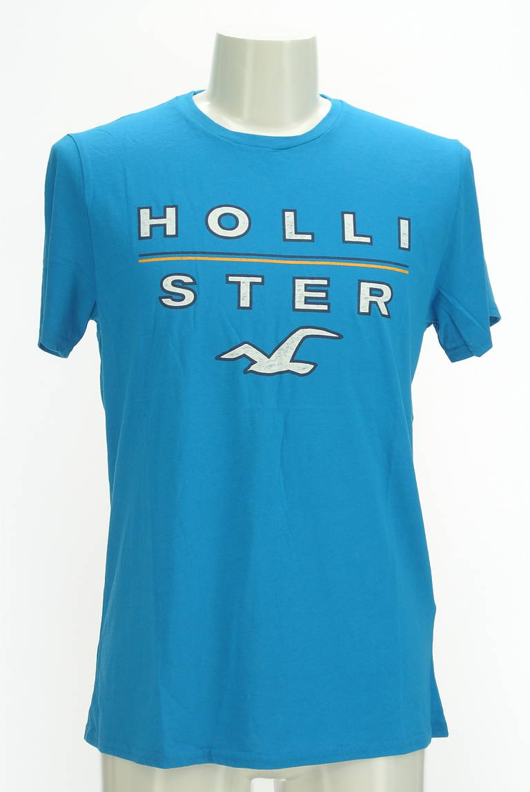 Hollister Co.（ホリスター）の古着「商品番号：PR10298539」-大画像1