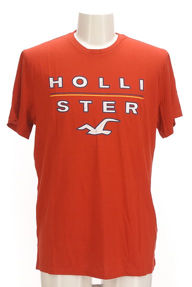 Hollister Co.（ホリスター）の古着「ブランドロゴプリントTシャツ（Ｔシャツ）」大画像１へ
