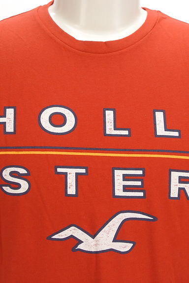 Hollister Co.（ホリスター）の古着「ブランドロゴプリントTシャツ（Ｔシャツ）」大画像４へ