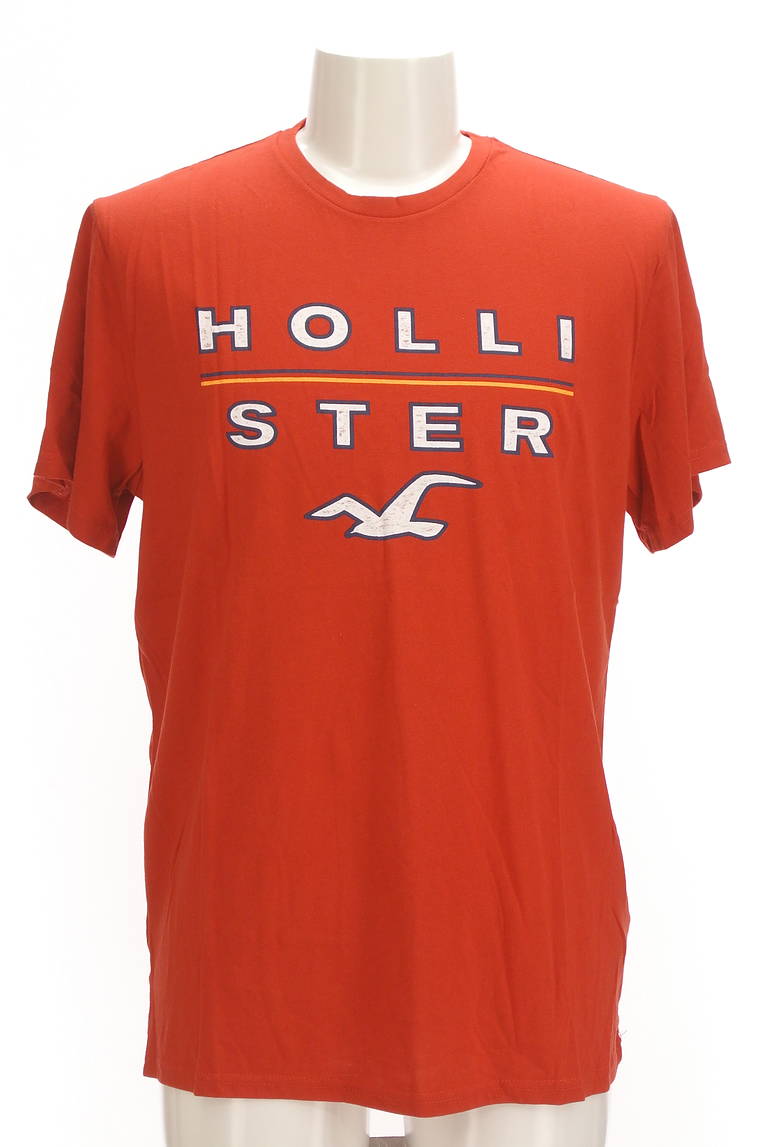 Hollister Co.（ホリスター）の古着「商品番号：PR10298540」-大画像1